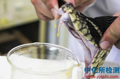 蛇毒檢測